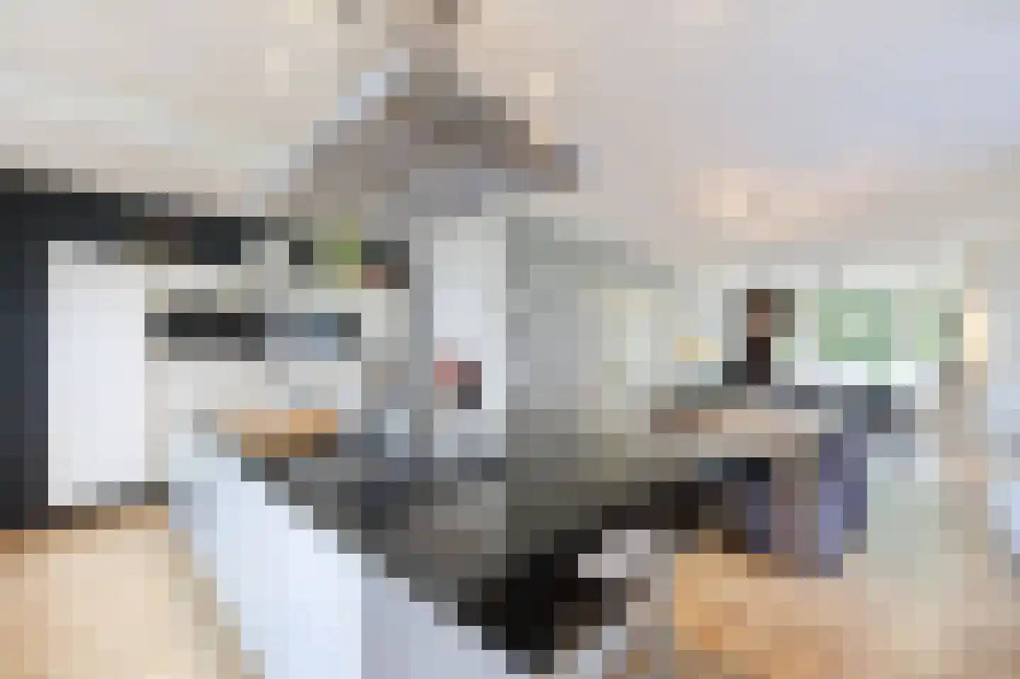 Akerendamlaan 8 Beverwijk thumbnail 22