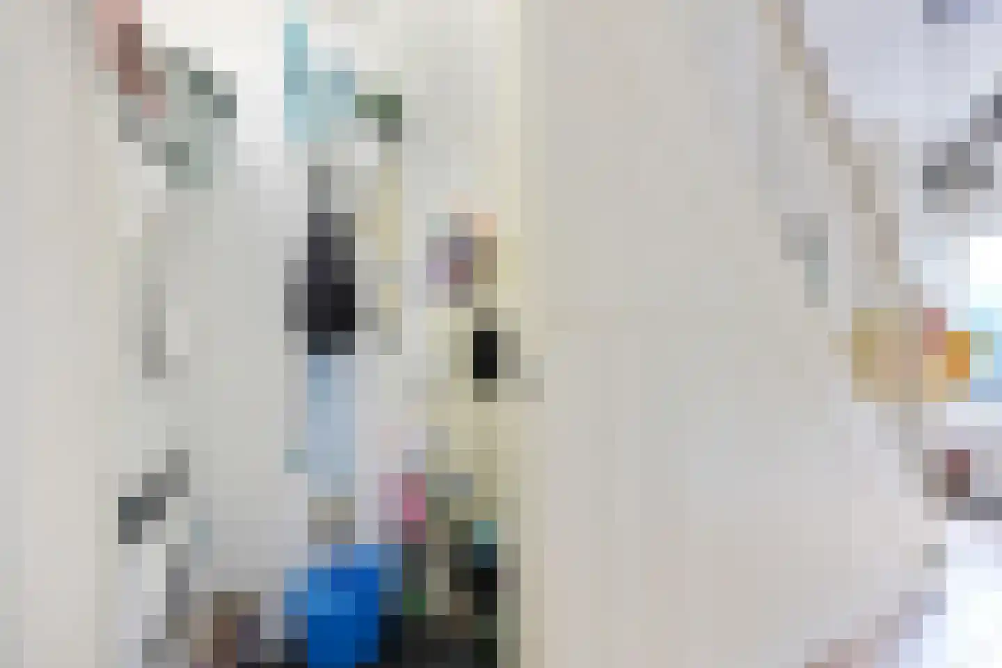 Akerendamlaan 8 Beverwijk thumbnail 34
