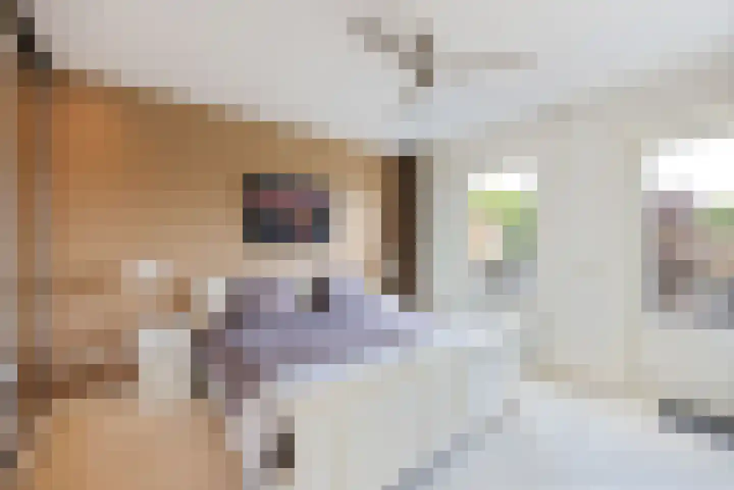 Akerendamlaan 8 Beverwijk thumbnail 43