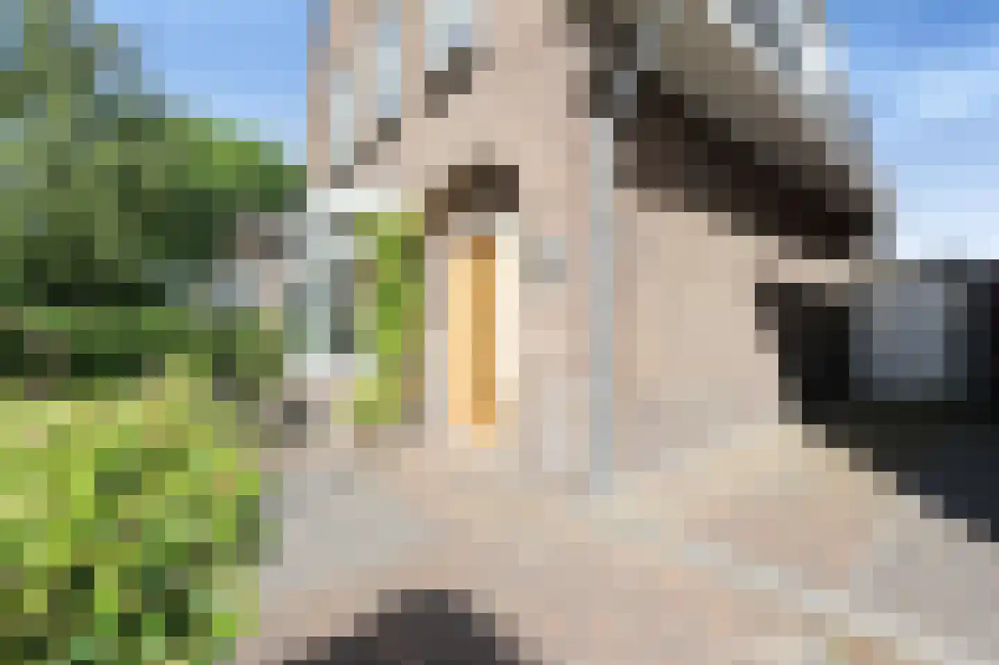 Akerendamlaan 8 Beverwijk thumbnail 6