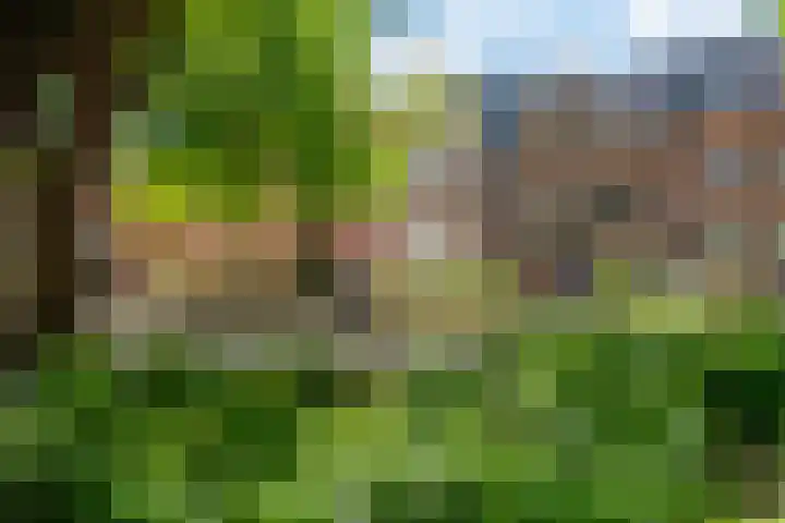 Akerkhof 34 a Groningen thumbnail 14