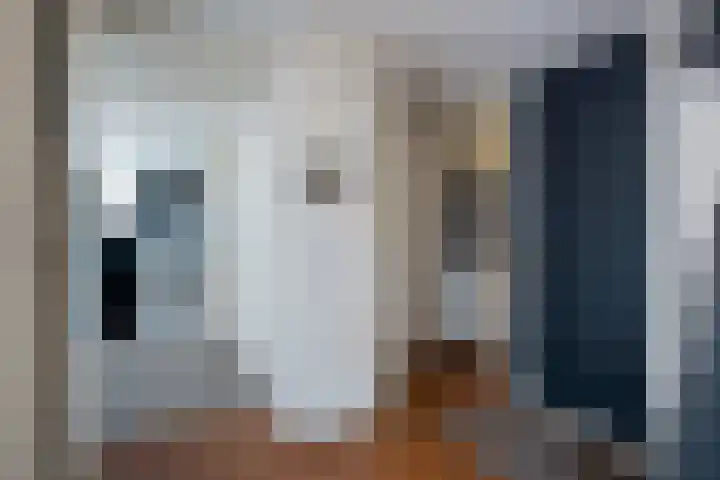 Akerkhof 34 a Groningen thumbnail 18
