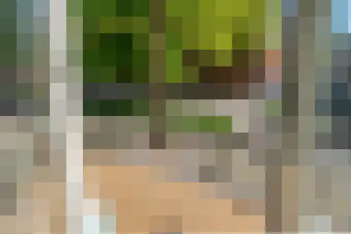Akerkhof 34 a Groningen thumbnail 22