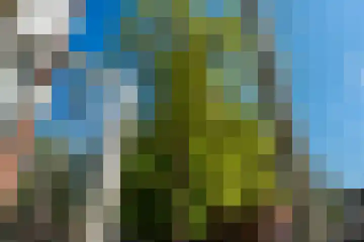 Akerkhof 34 a Groningen thumbnail 23