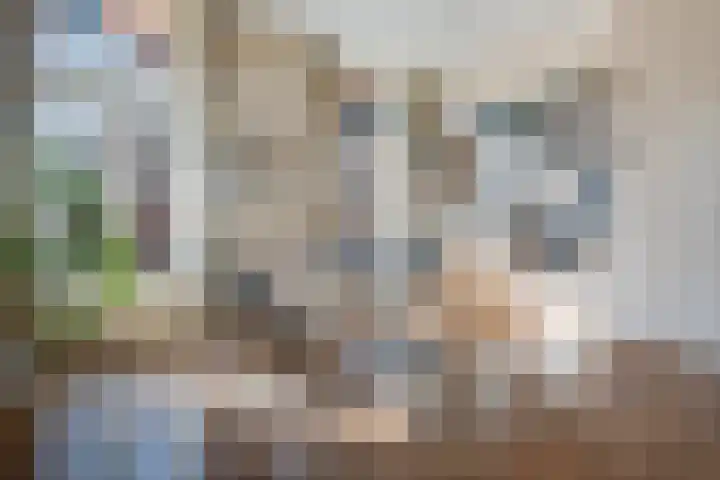 Akerkhof 34 a Groningen thumbnail 26