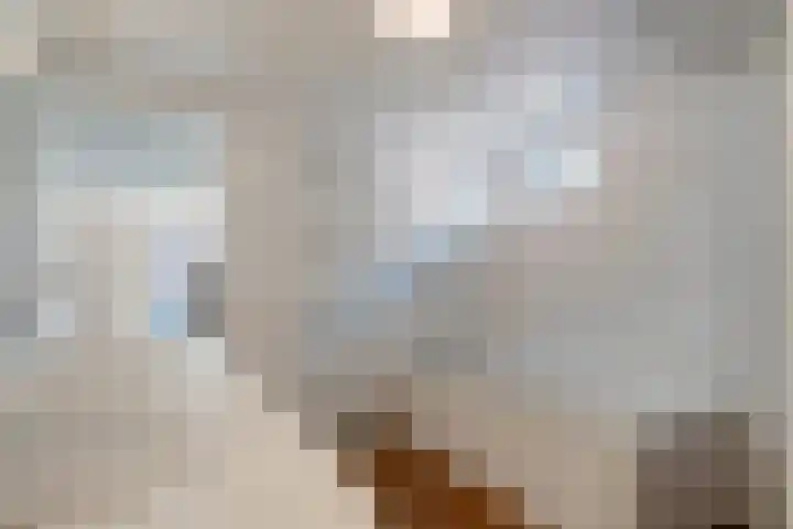 Akerkhof 34 a Groningen thumbnail 35