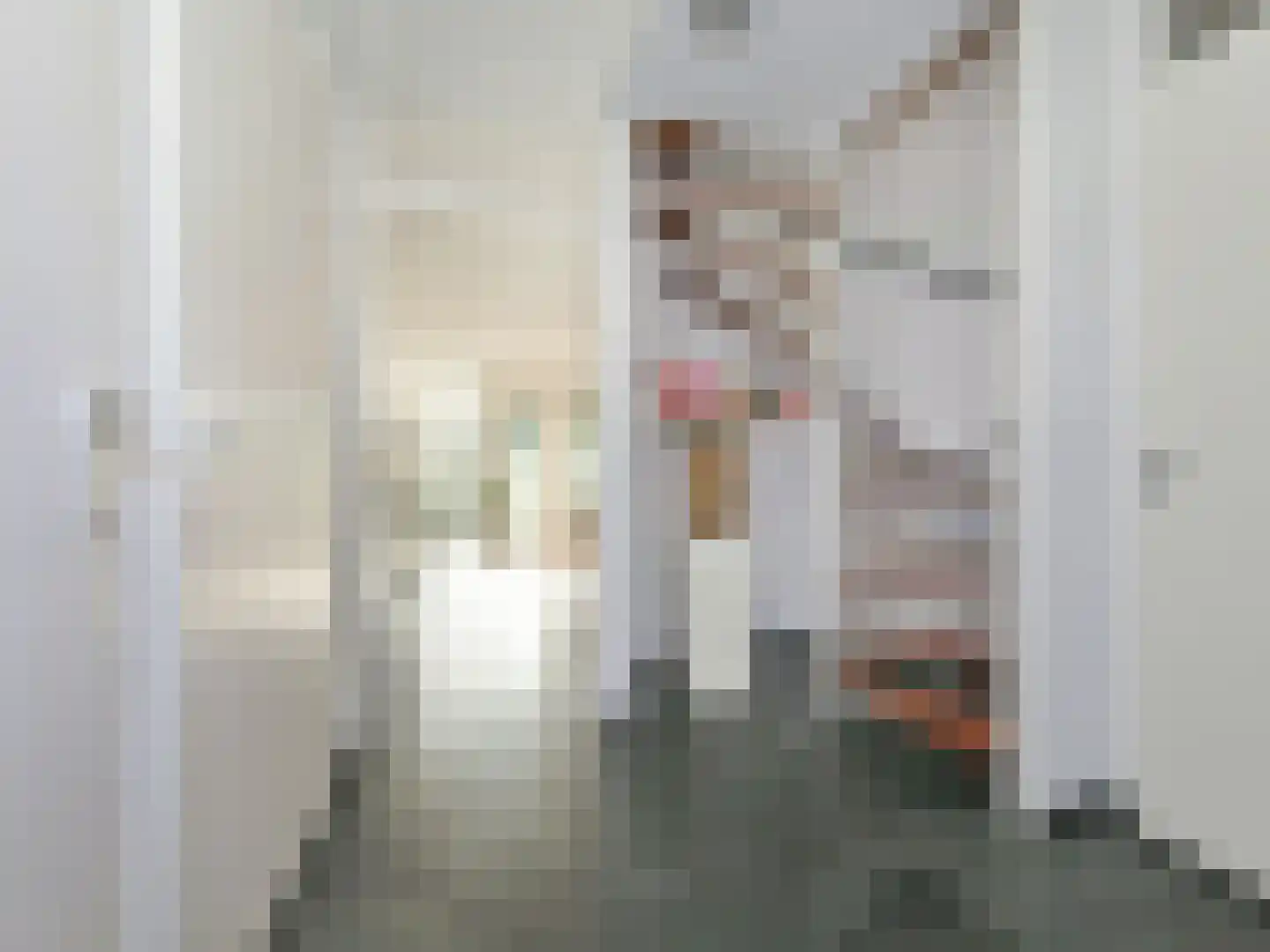 Akerpolderstraat 3 B Amsterdam thumbnail 12