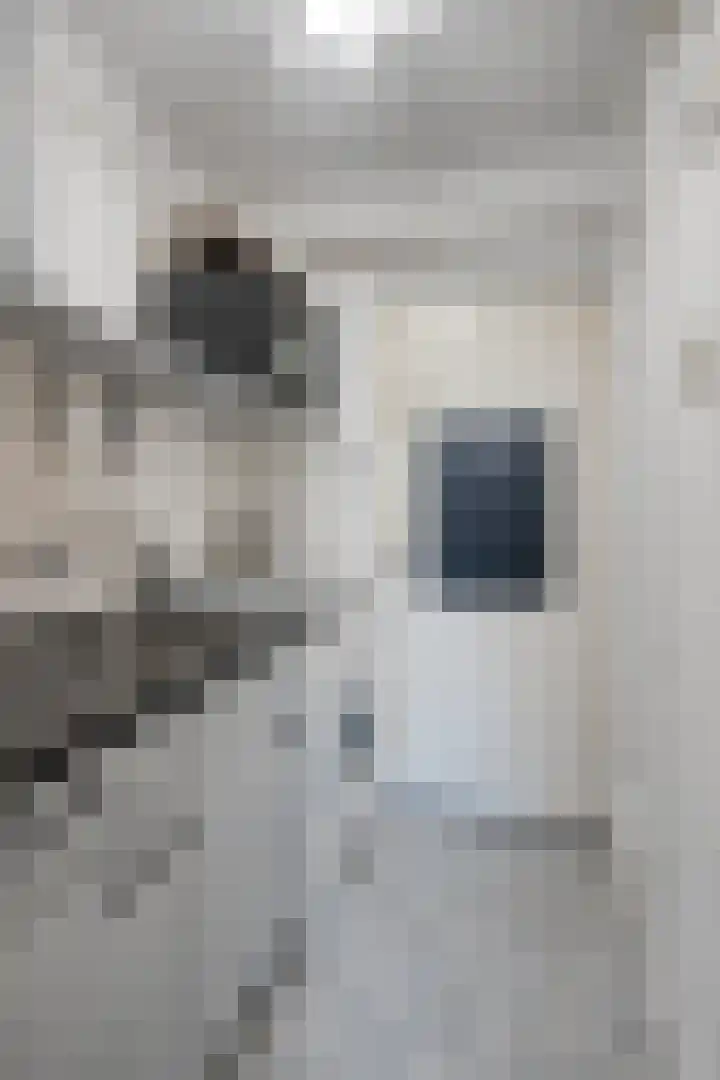 Akerpolderstraat 31 Amsterdam thumbnail 7