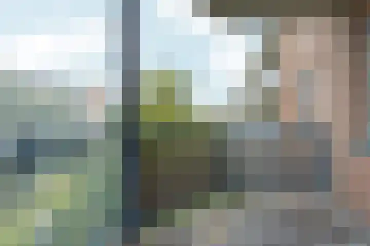 Akersingel 16 Amsterdam thumbnail 4