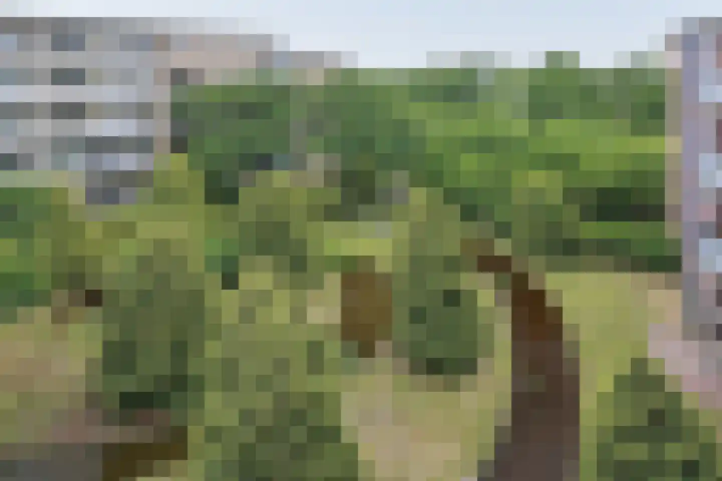 Akersingel 200 Amsterdam thumbnail 41