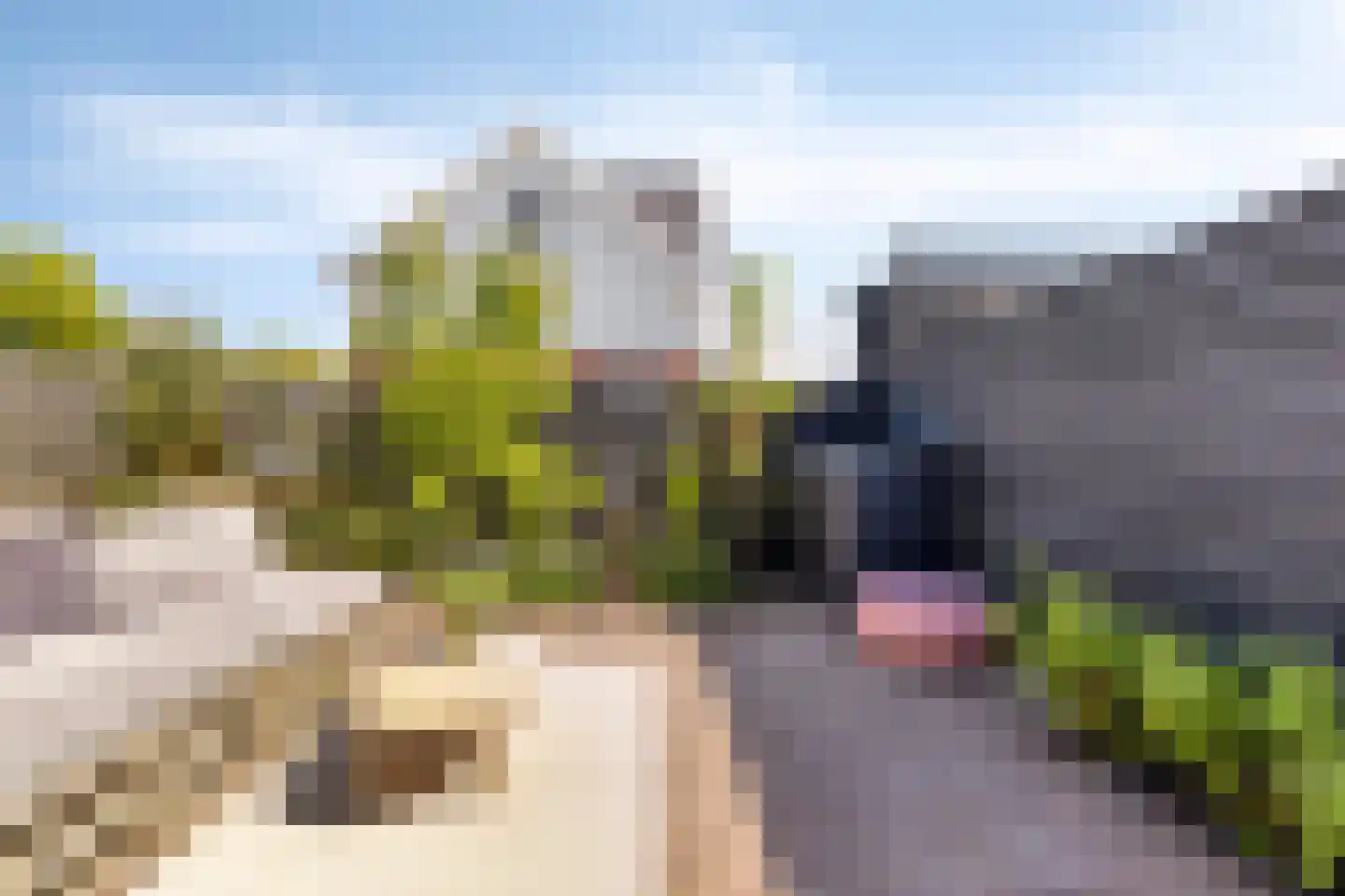 Akerslaan 11 Alkmaar thumbnail 45