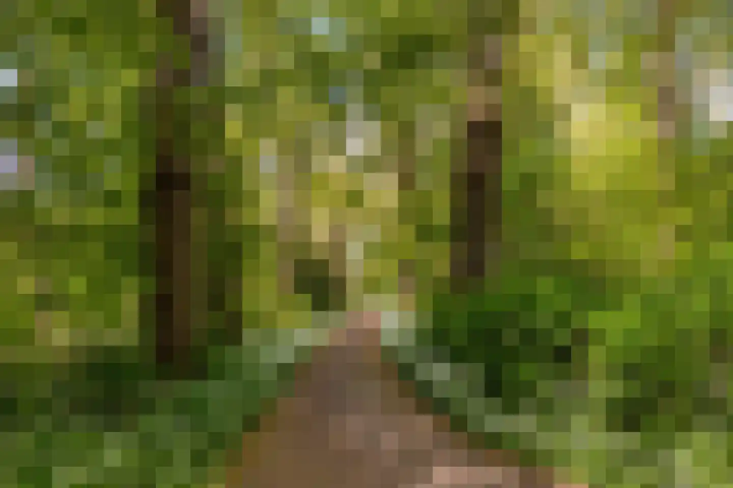 Akerslaan 11 Alkmaar thumbnail 55