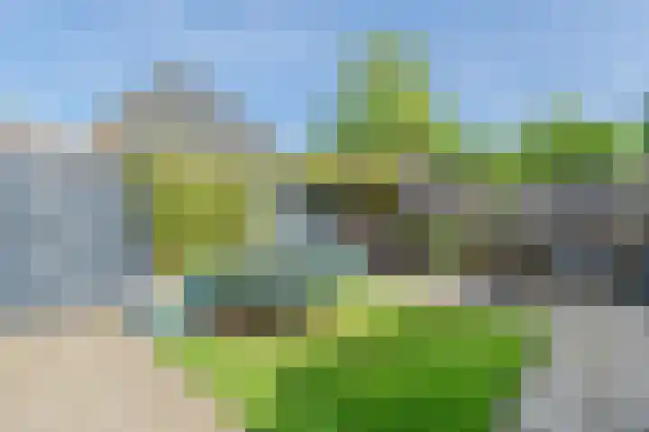 Akerslaan 6 Alkmaar thumbnail 25
