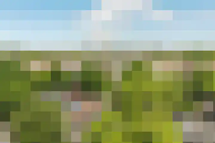 Akerslaan 6 Alkmaar thumbnail 28