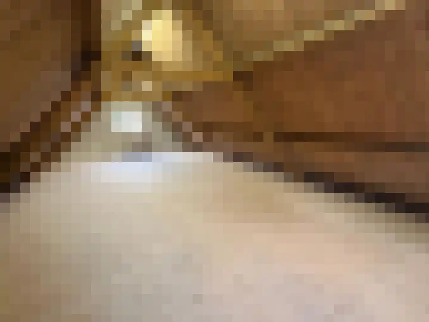 Akersteeg 2 Edam thumbnail 11