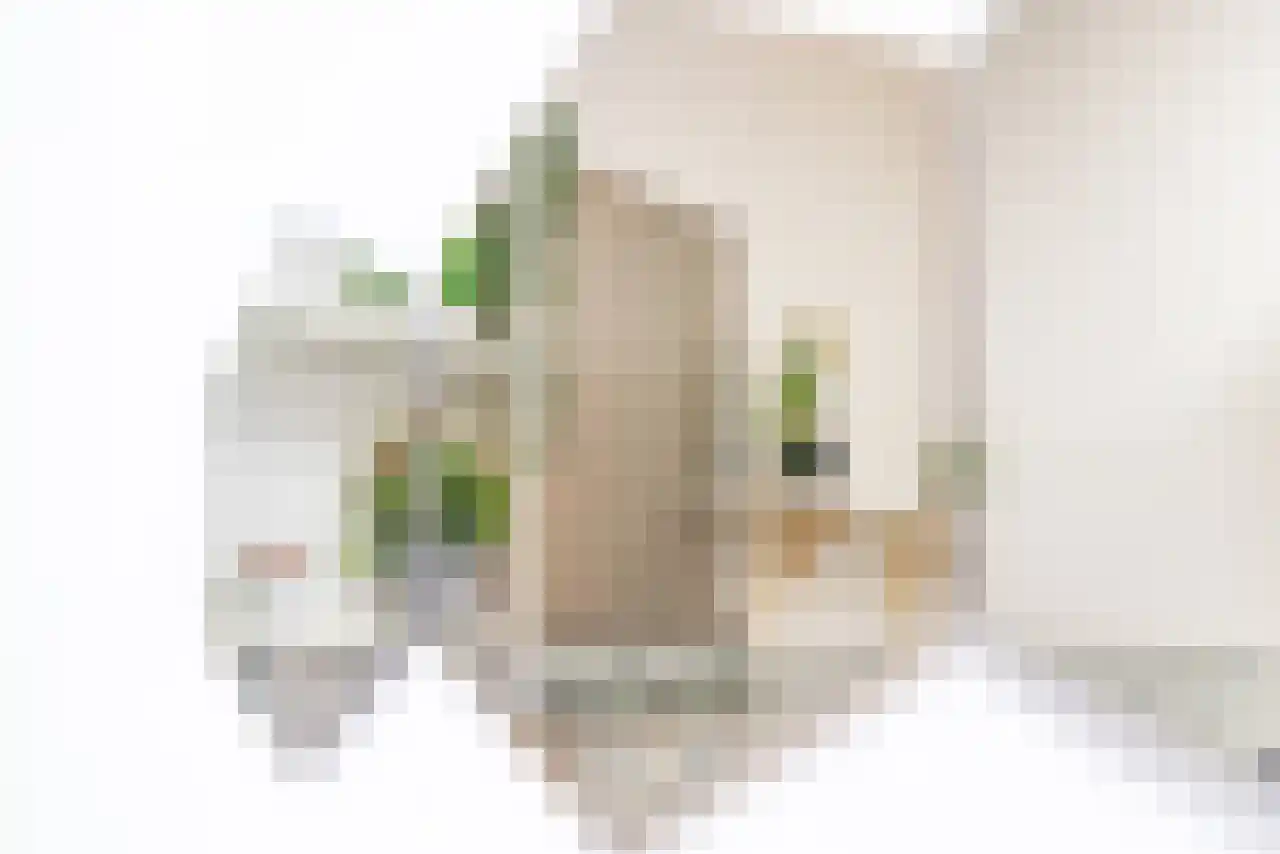 Akersteenweg 100 Maastricht thumbnail 34