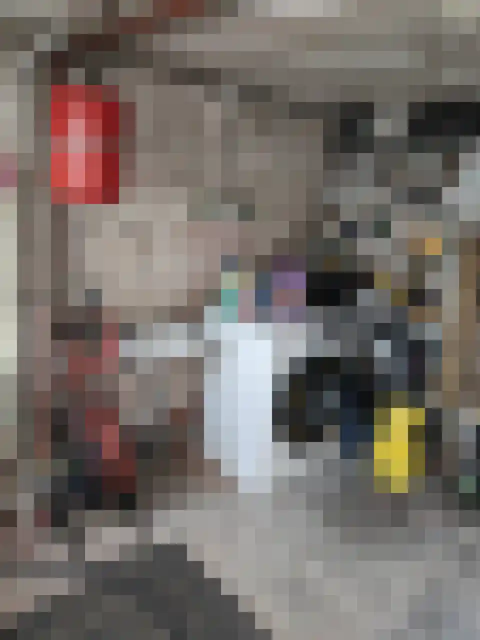 Akersteenweg 100 Maastricht thumbnail 42