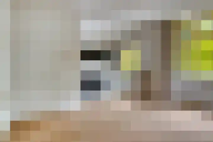 Akersteenweg 158 Maastricht thumbnail 35