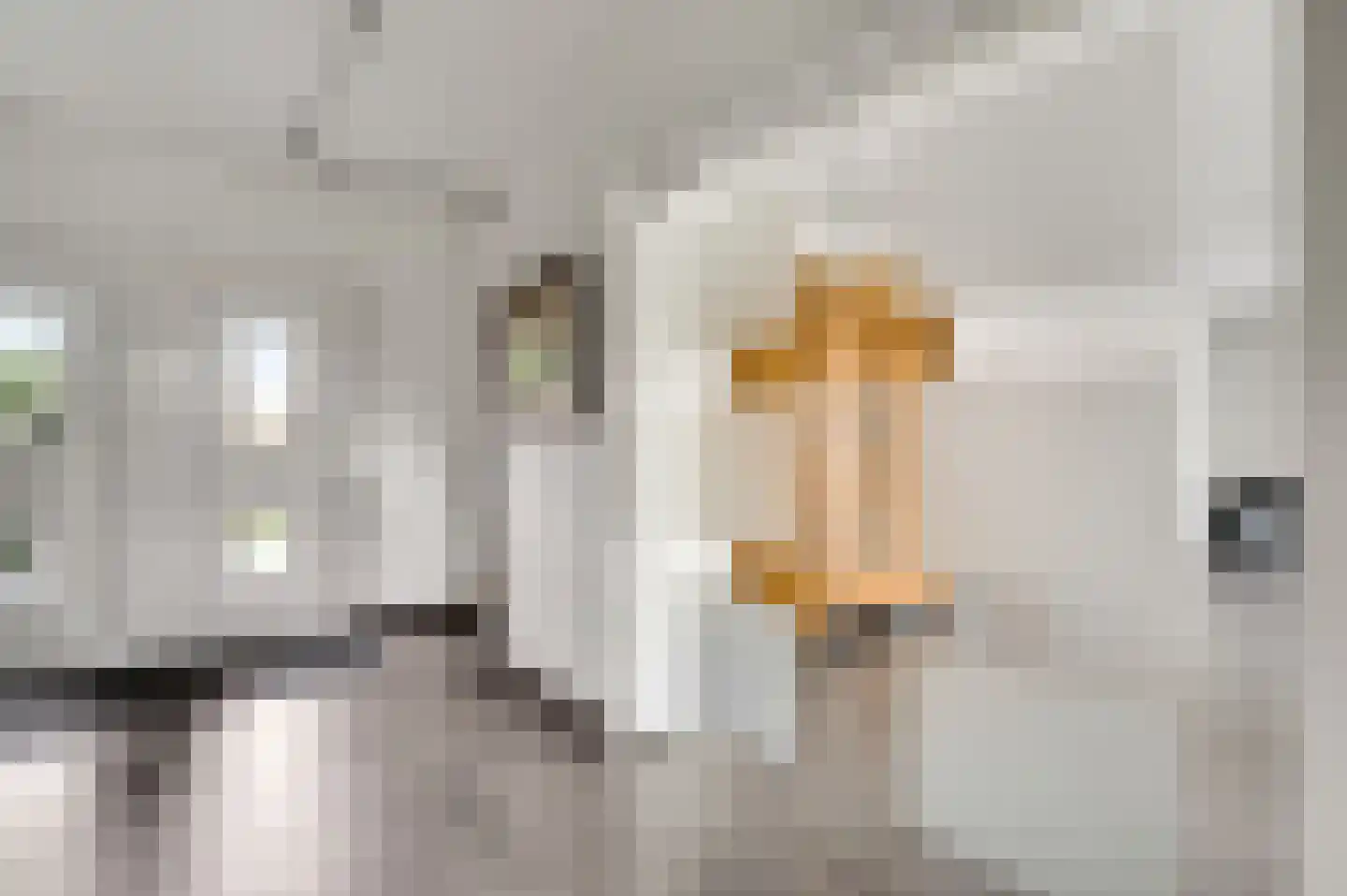 Akersteenweg 198 Maastricht thumbnail 6