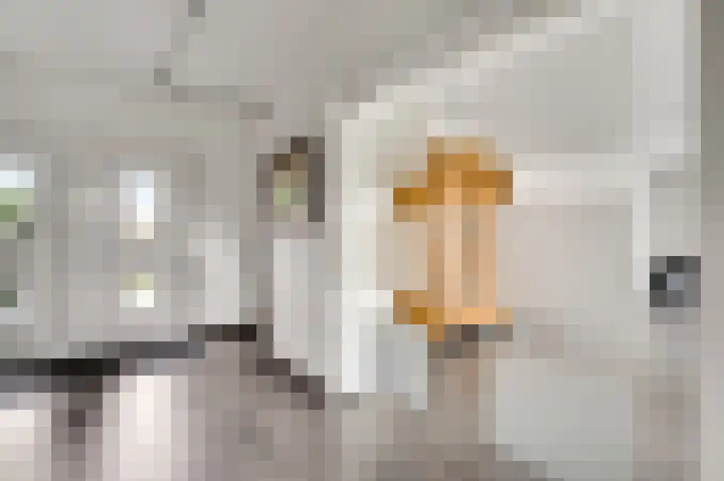 Akersteenweg 198 Maastricht thumbnail 6