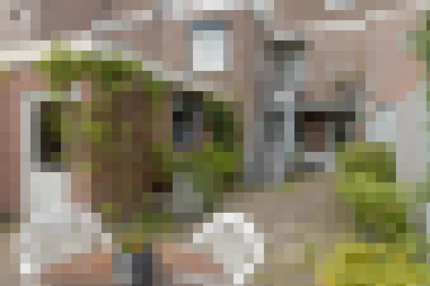 Akersteenweg 30 Maastricht thumbnail 27