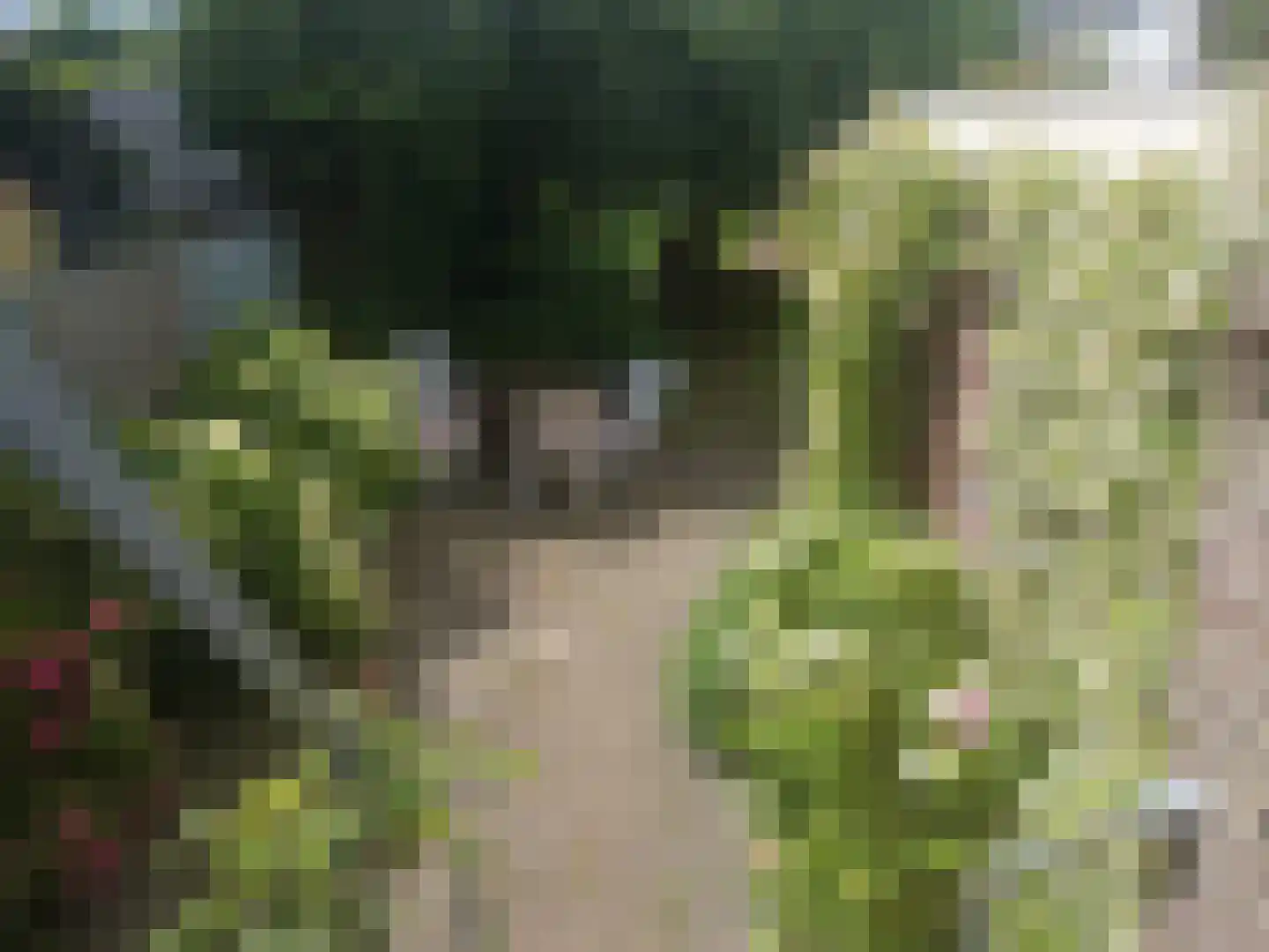 Akersteenweg 30 Maastricht thumbnail 34