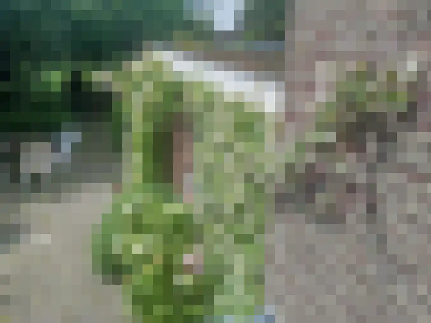 Akersteenweg 30 Maastricht thumbnail 35