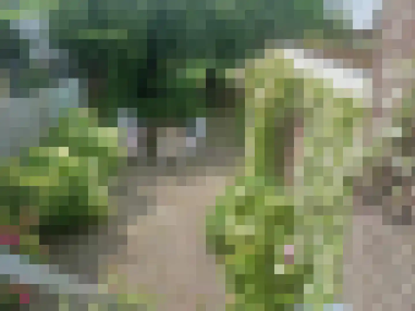Akersteenweg 30 Maastricht thumbnail 36