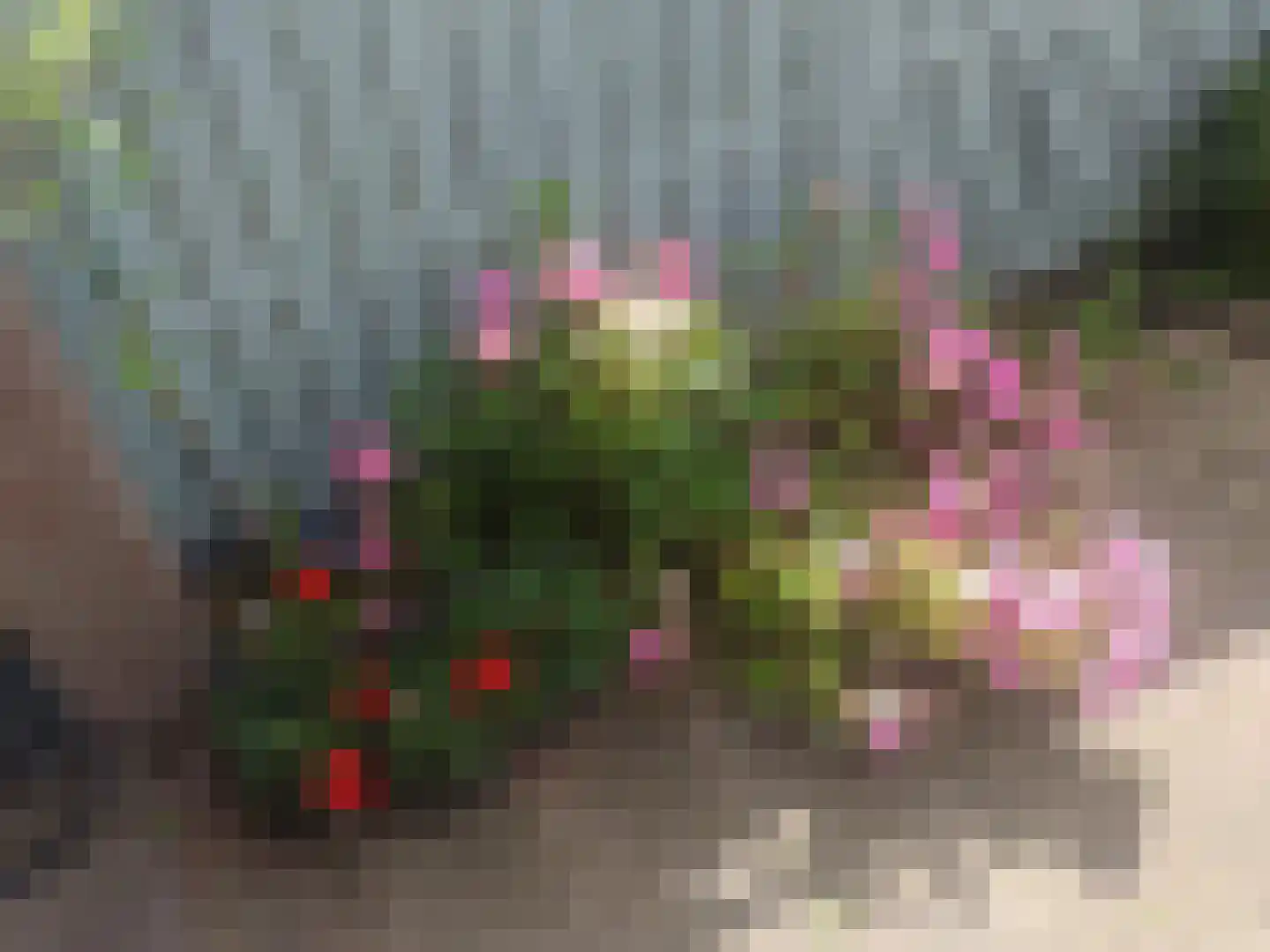 Akersteenweg 30 Maastricht thumbnail 37