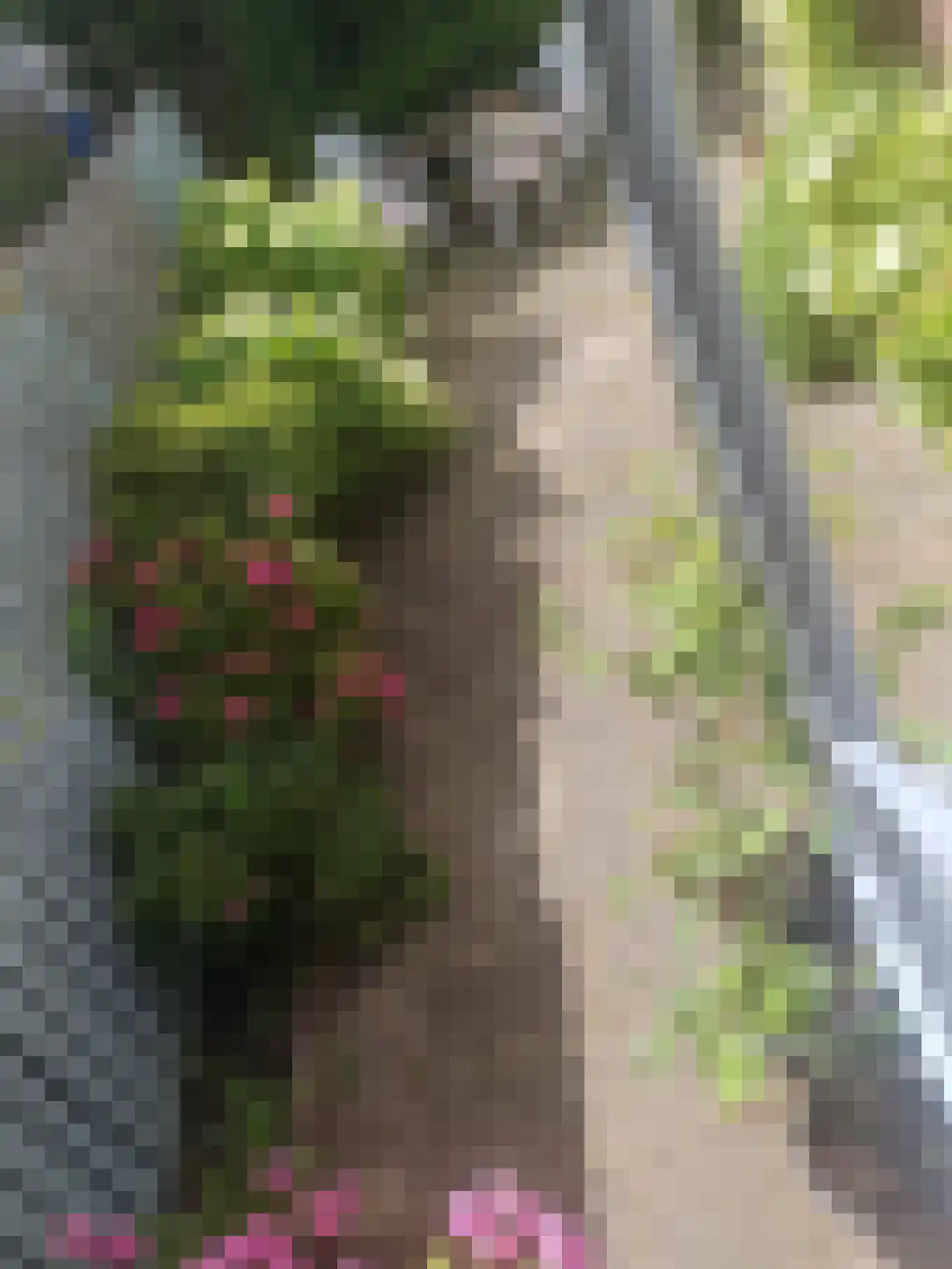 Akersteenweg 30 Maastricht thumbnail 38