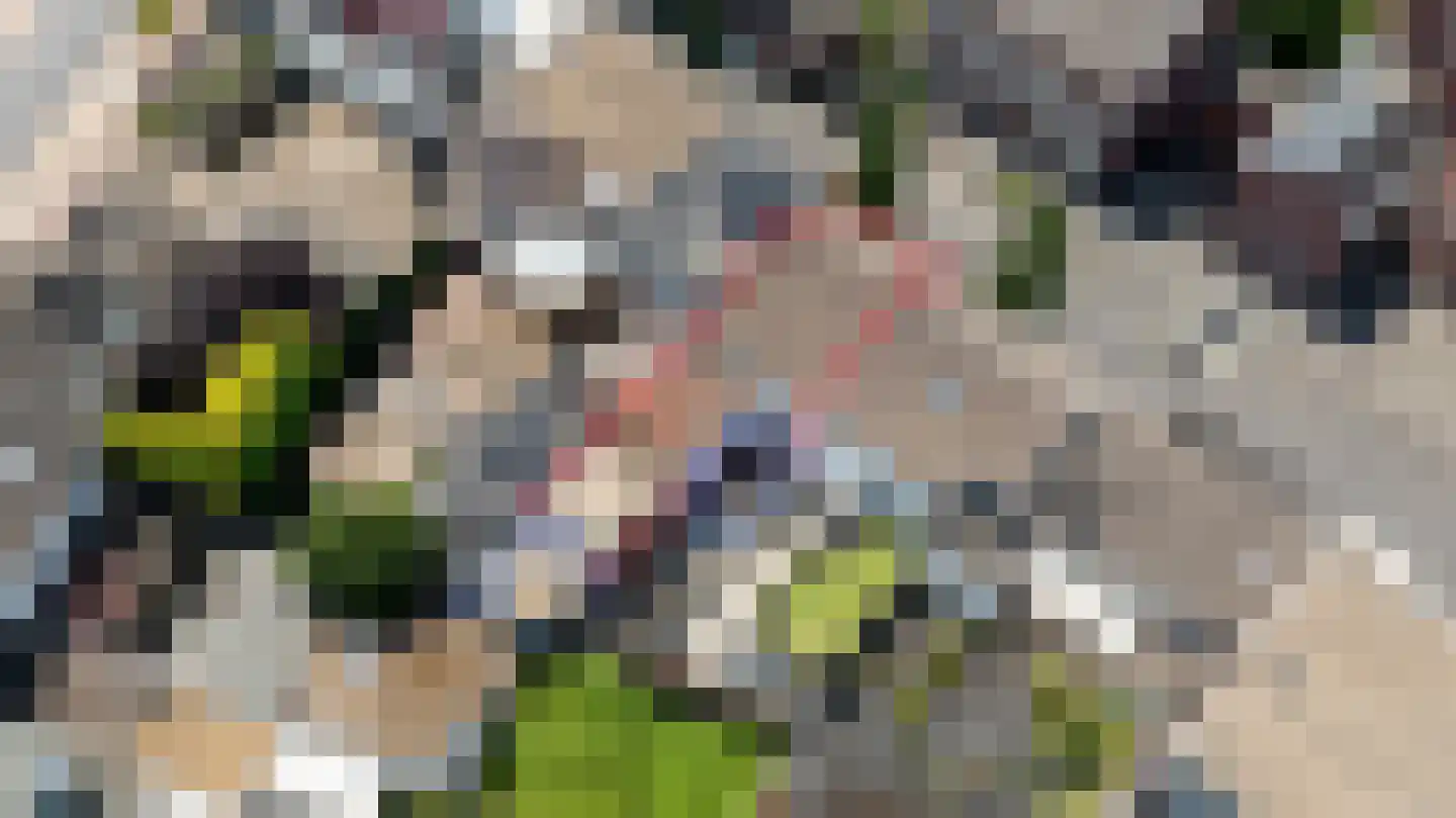 Akerstraat 10 Kerkrade thumbnail 14
