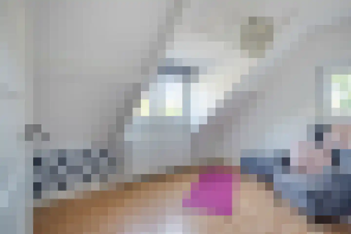 Akerstraat 104 Brunssum thumbnail 17