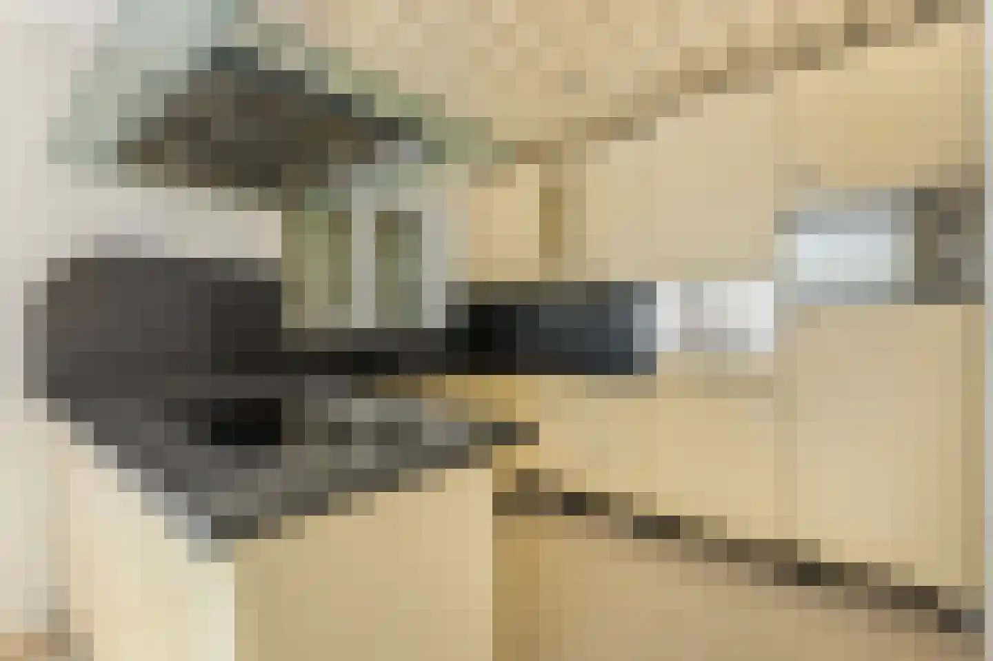 Akerstraat 145 Brunssum thumbnail 10