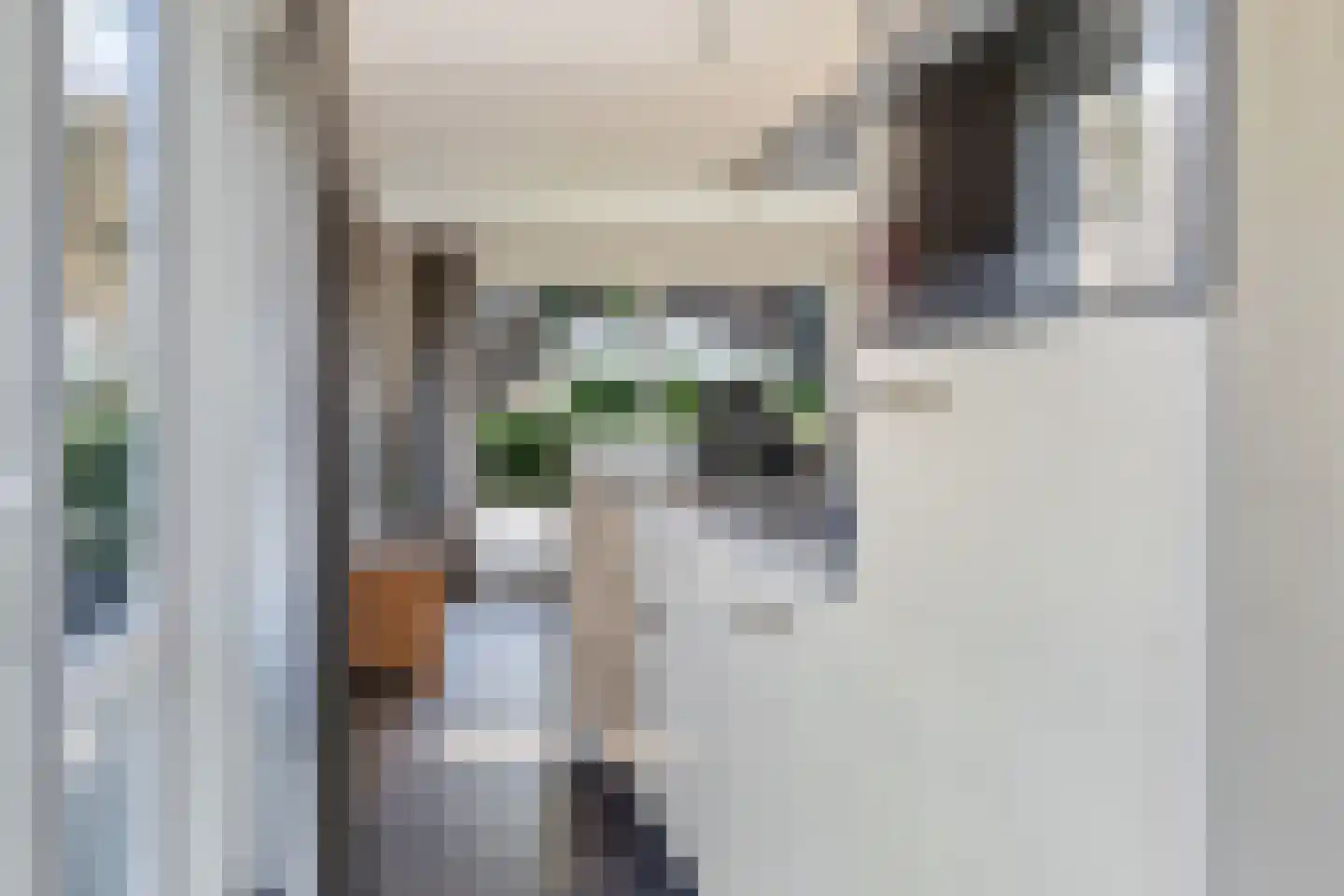 Akerstraat 153 X 068 Brunssum thumbnail 10