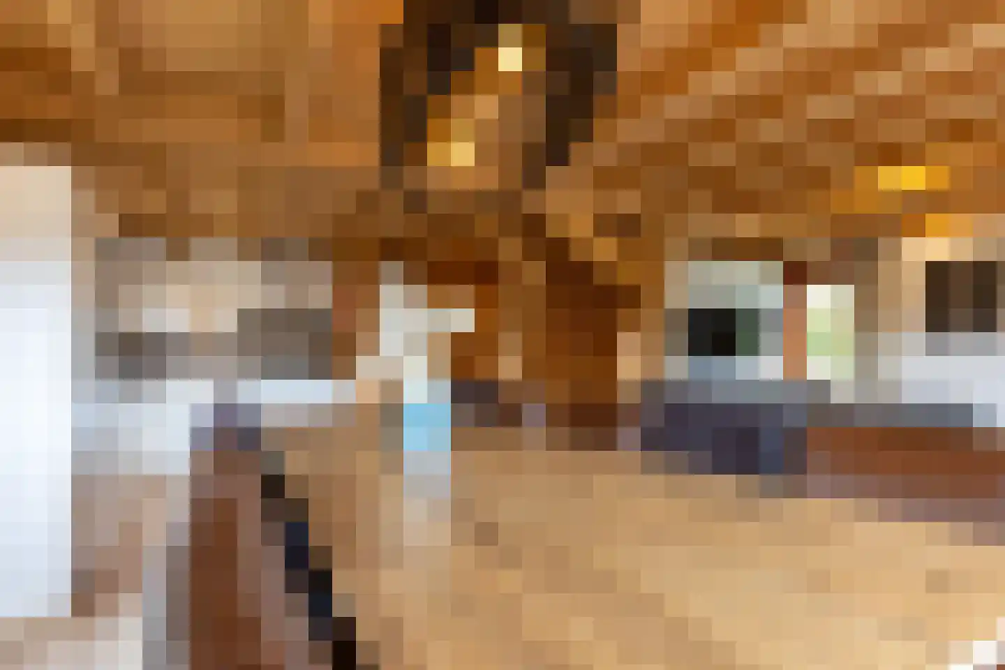 Akerstraat 153 X 150 Brunssum thumbnail 12