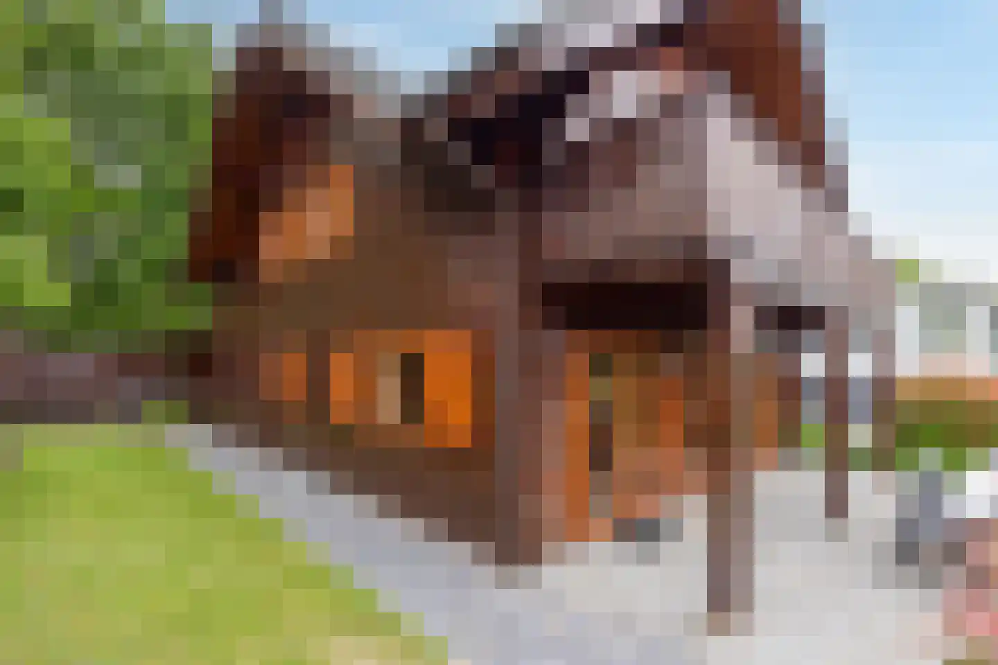 Akerstraat 153 X 150 Brunssum thumbnail 15