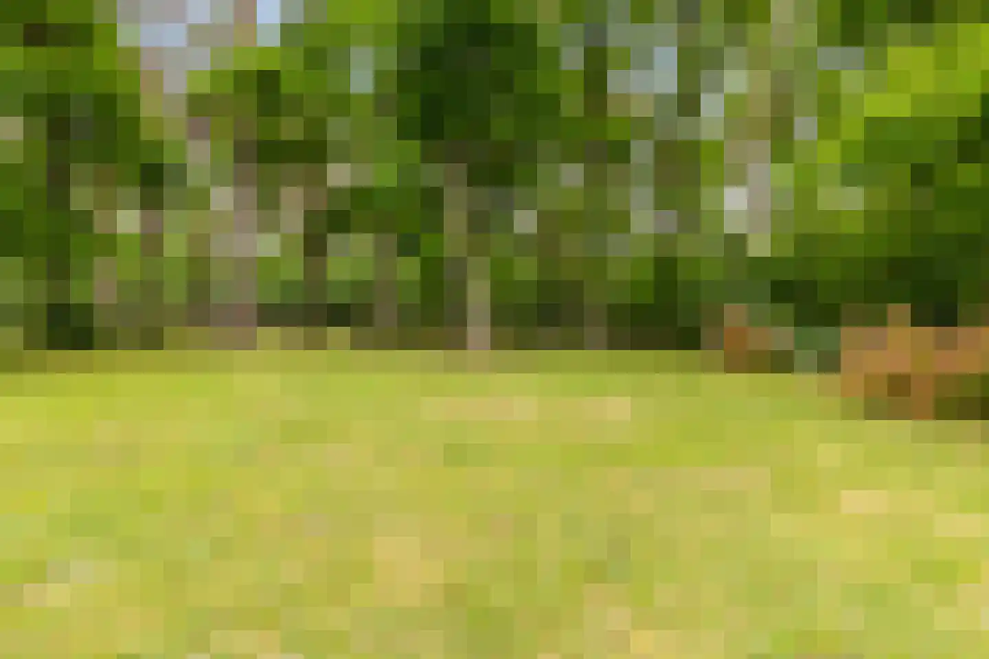 Akerstraat 153 X 150 Brunssum thumbnail 43