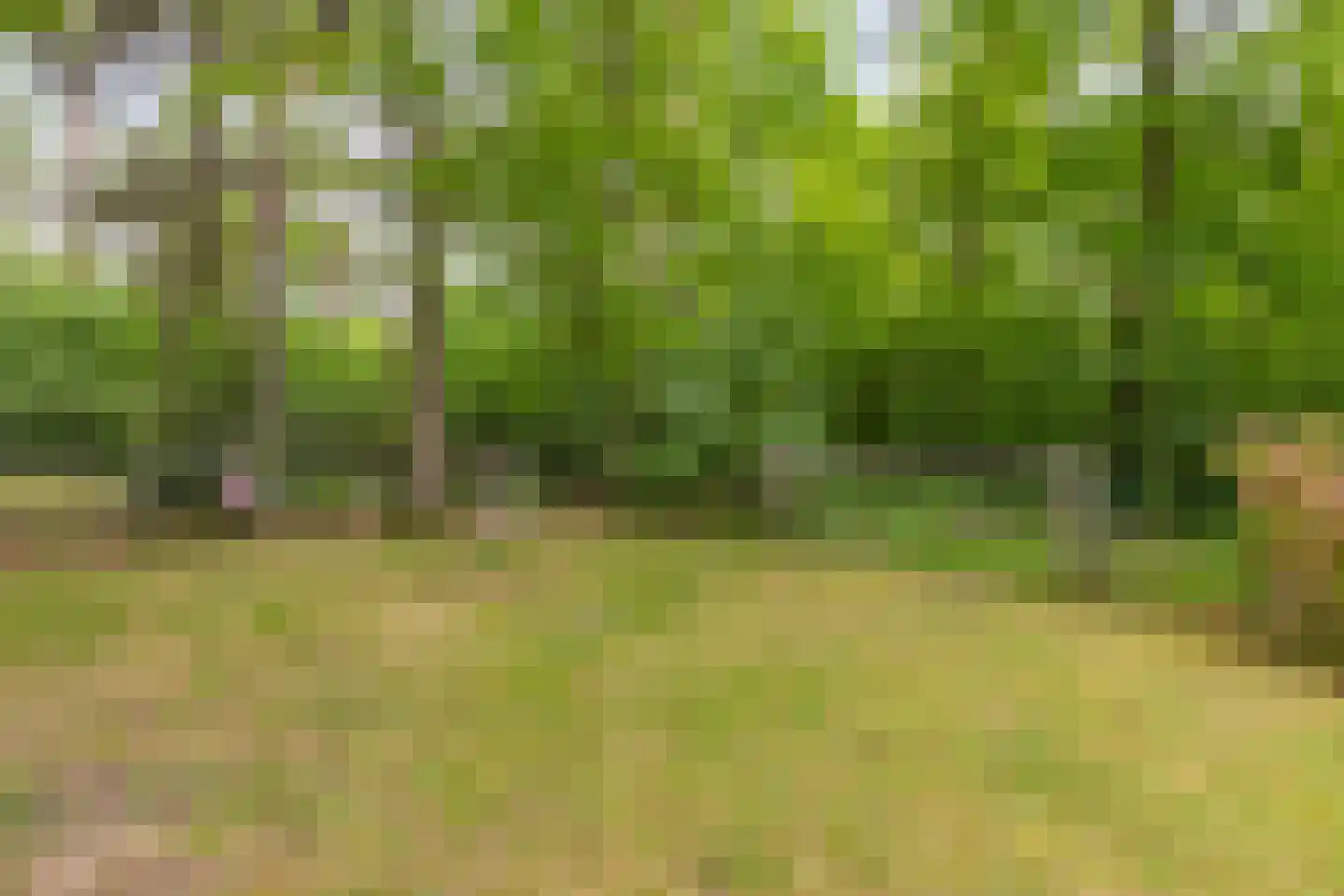 Akerstraat 153 X 150 Brunssum thumbnail 44