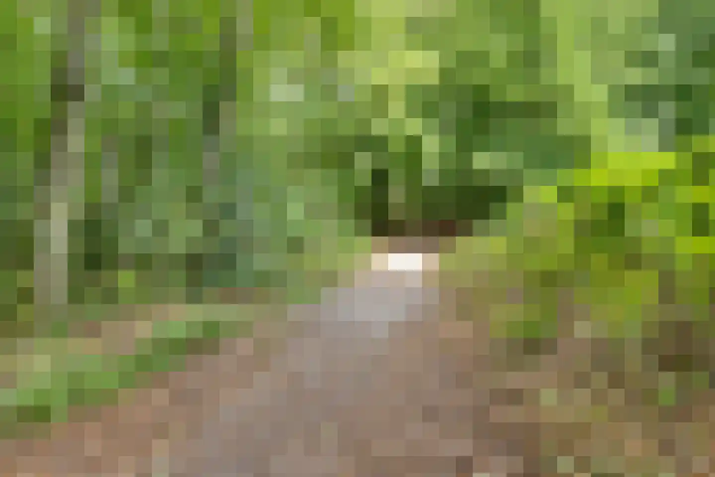 Akerstraat 153 X 175 Brunssum thumbnail 46