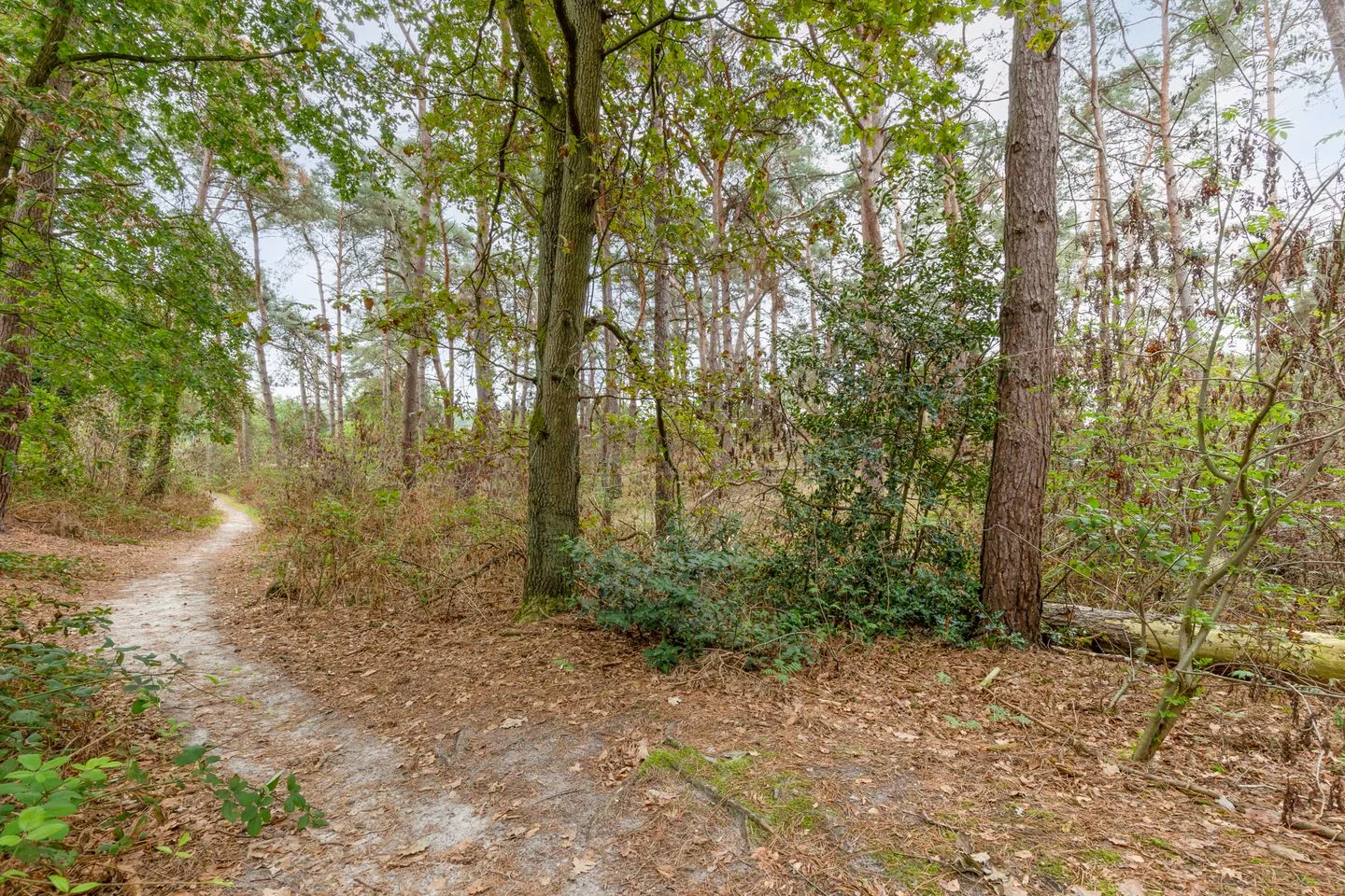 Akerstraat 153 X 204 Brunssum thumbnail 25