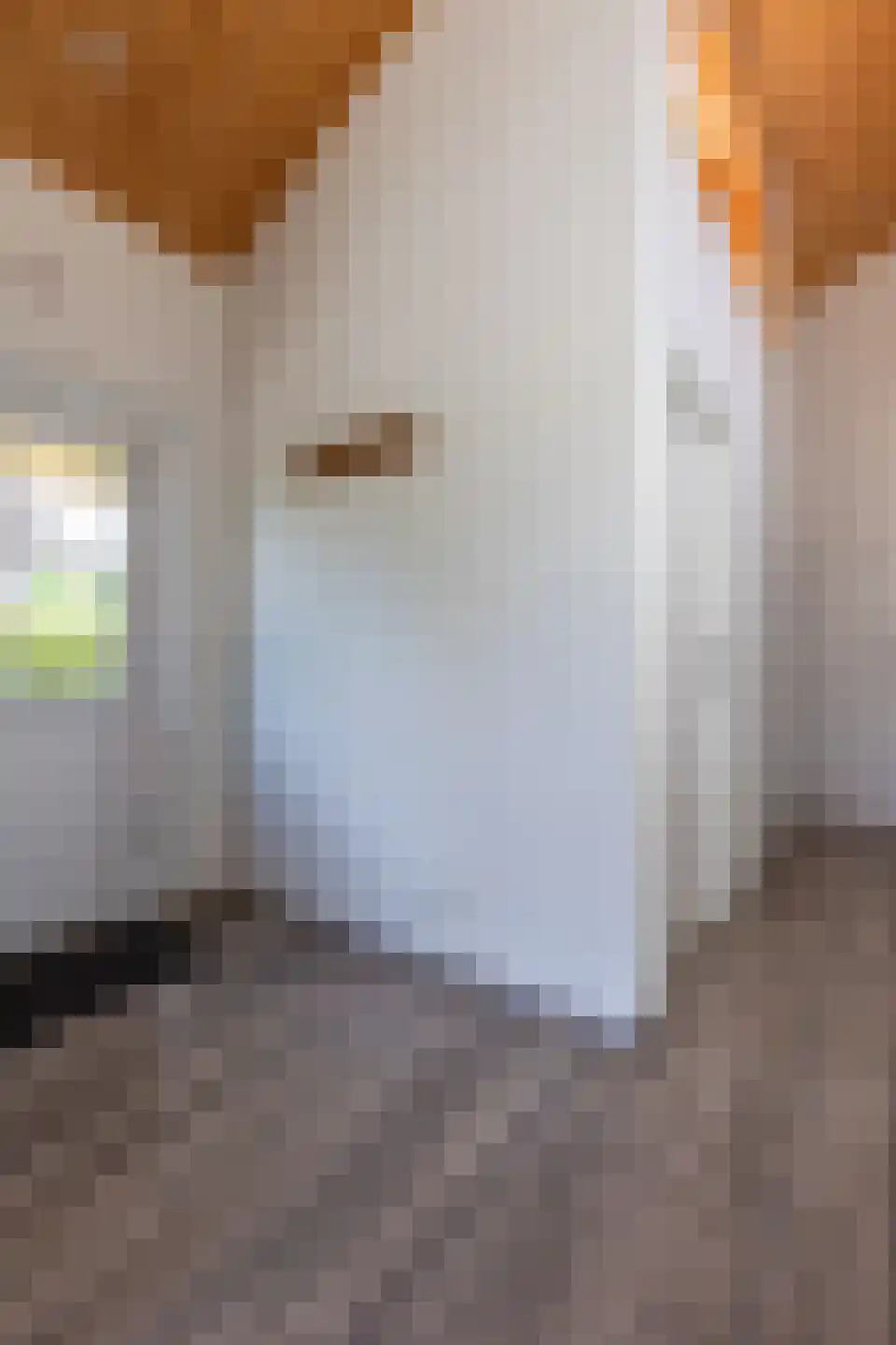 Akerstraat 153 X 216 Brunssum thumbnail 17