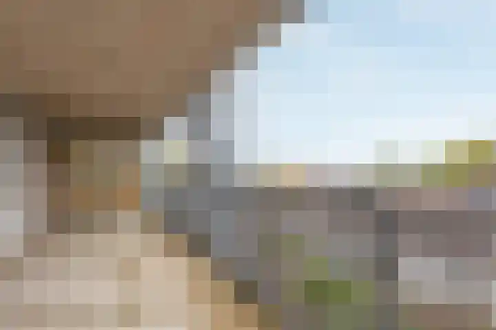 Akerstraat 156 E Heerlen thumbnail 12