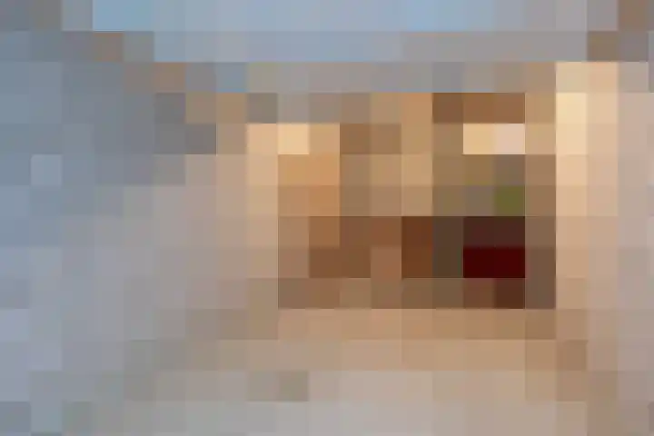 Akerstraat 156 E Heerlen thumbnail 29