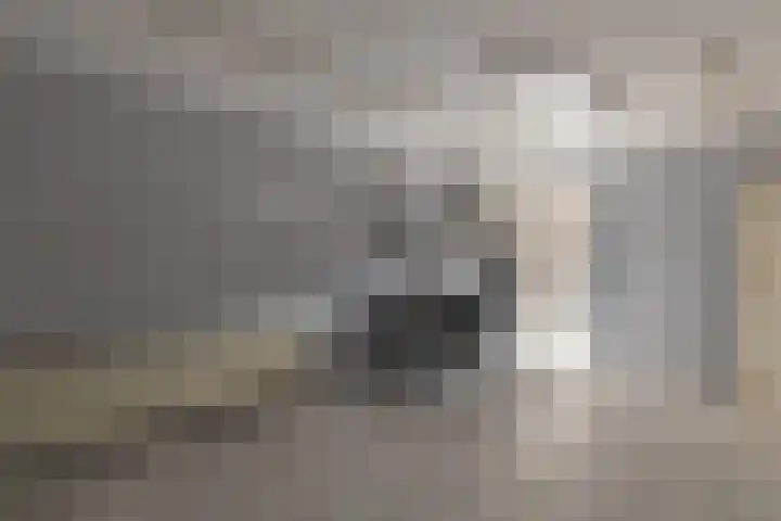Akerstraat 4 Kerkrade thumbnail 9