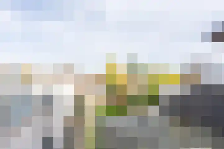 Akerstraat 84 Kerkrade thumbnail 18