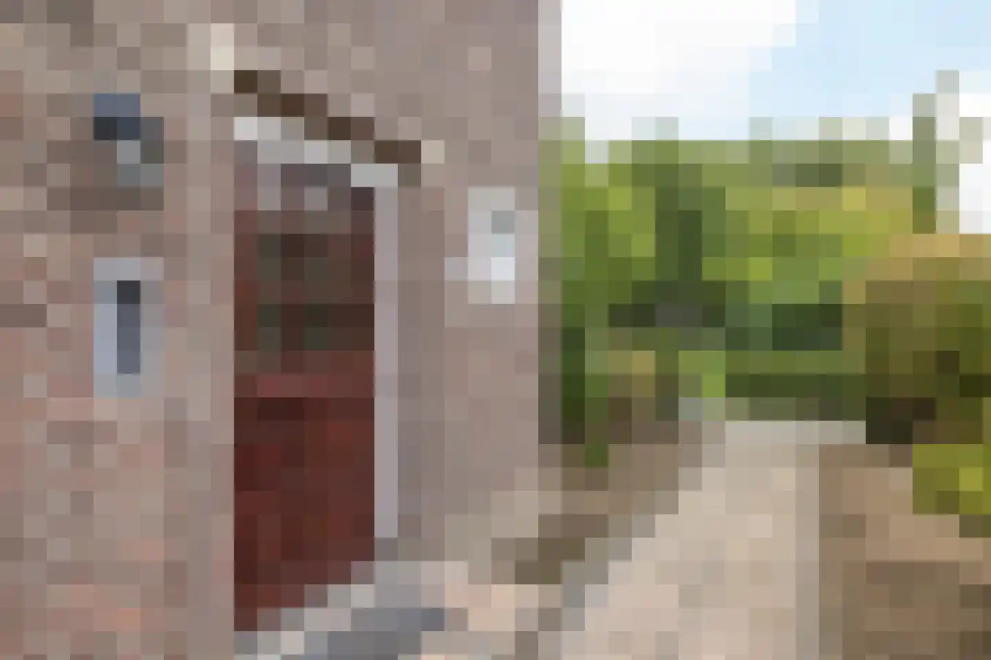 Akerstraat-Noord 33 Brunssum thumbnail 5