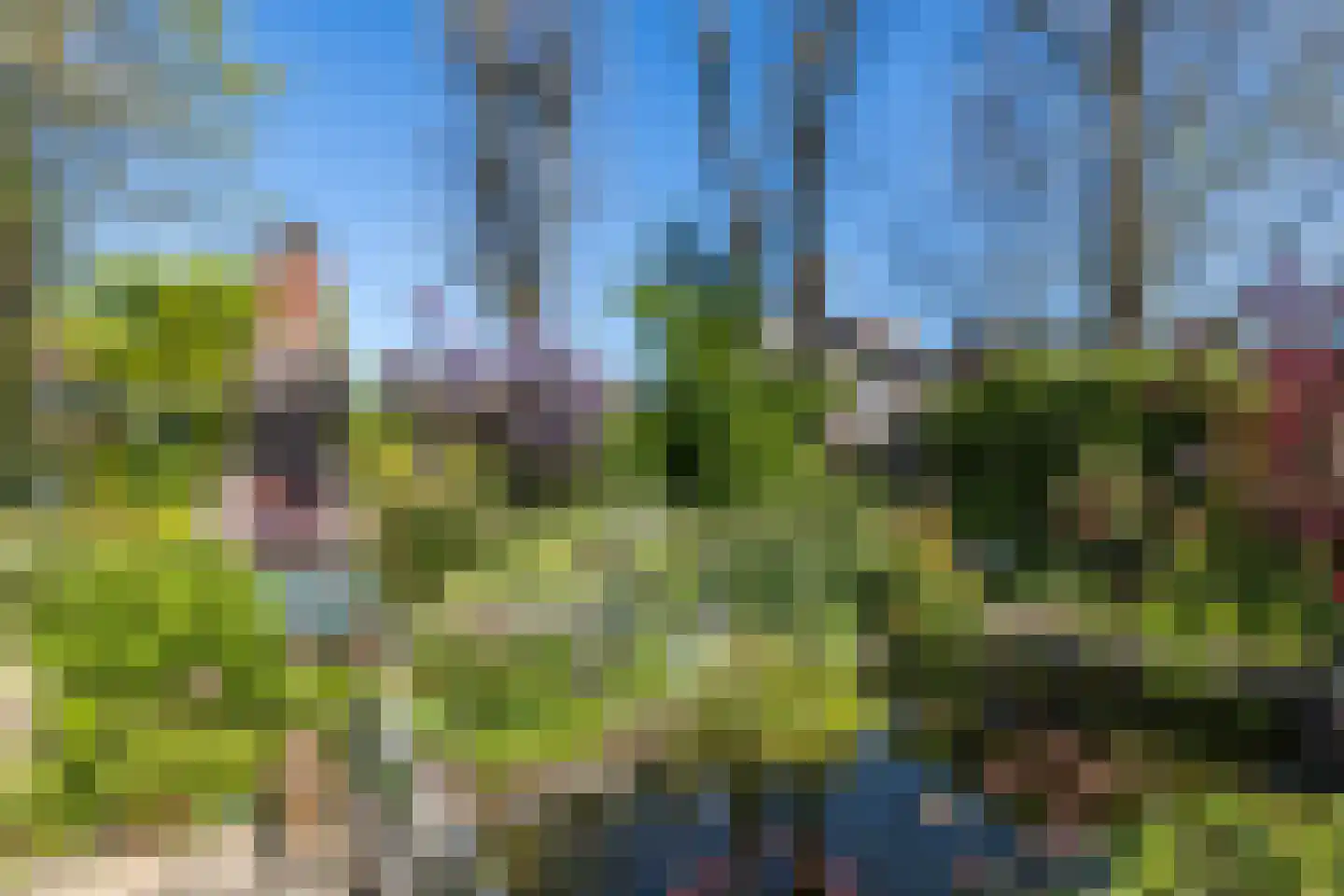 Akerstraat-Noord 53 Brunssum thumbnail 5