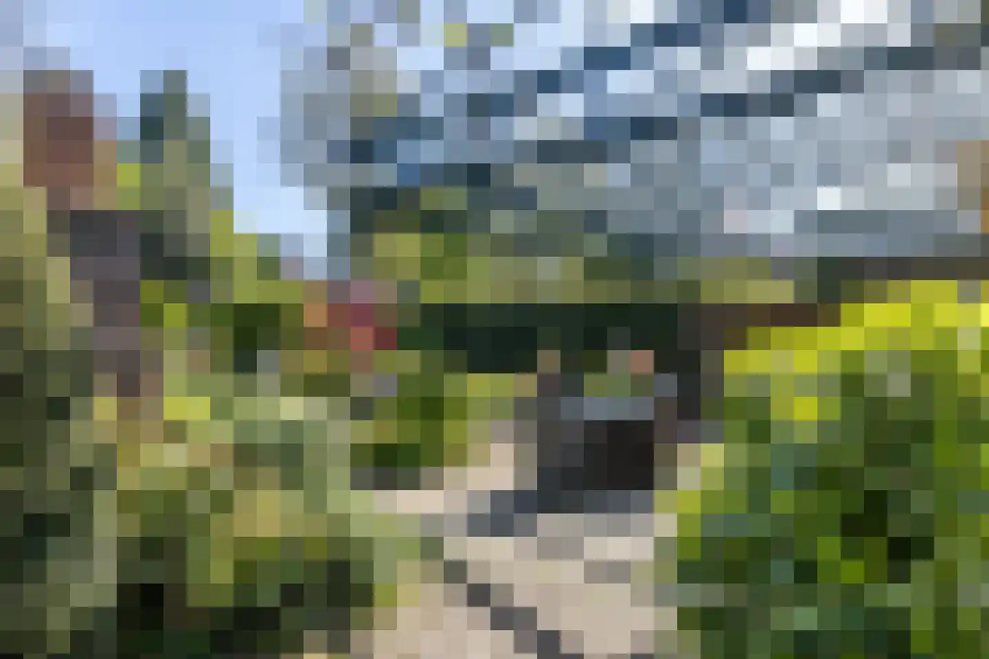 Akerstraat-Noord 53 Brunssum thumbnail 53