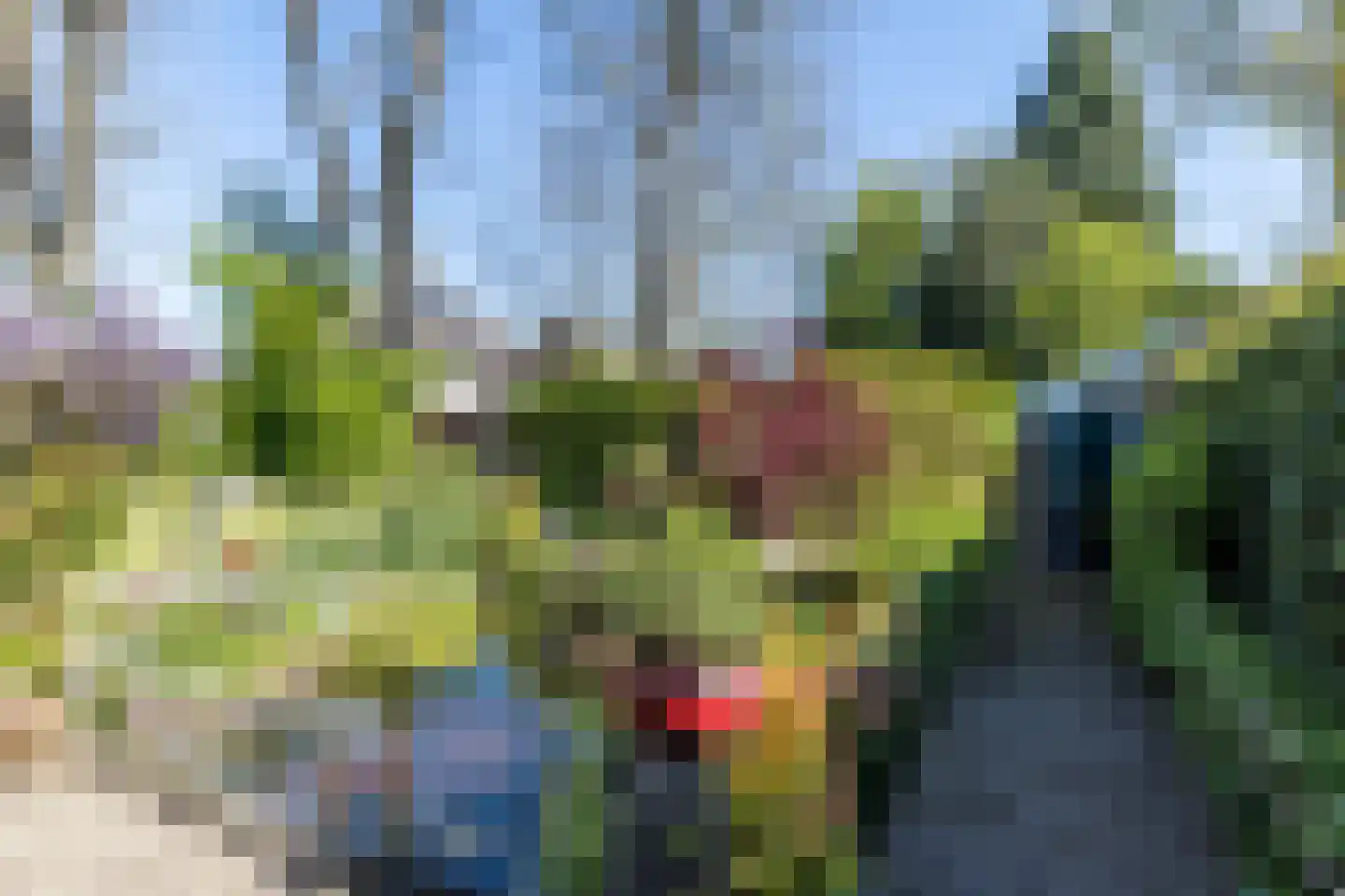 Akerstraat-Noord 53 Brunssum thumbnail 54