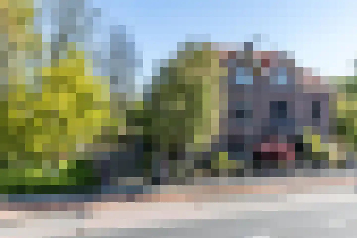 Akerstraat-Noord 53 Brunssum thumbnail 67